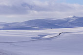 Tundra landscape on the road between Tana and Bastfjord, Finnmark, Norway, Scandinavia, Europe