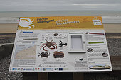 Information panel on gathering seafood by hand in Saint-Aubin-sur-Mer, Seine-Maritime, Normandy, France