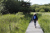 Beauport wetland in the commune of Paimpol, Côtes-d'Armor, Brittany, France