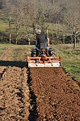 Rotavator with a micro tractor on a plot of land, preparation of the land for permaculture sowing
