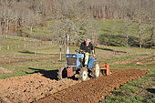Rotavator with a micro tractor on a plot of land, preparation of the land for permaculture sowing