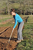 Covering seeds with a rake, Permaculture sowing
