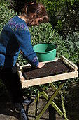 Sowing of climbing plants in slabs, preparation of the seedbed