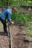 Covering seeds, Sowing in the open ground, Permaculture sowing