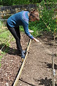 Sowing in the open ground, Permaculture sowing