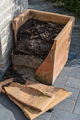 Terracotta pot broken by frost in winter, Pas-de-Calais, Hauts-de-France, France