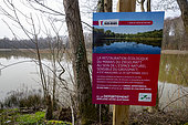 Grossmatt Natural Sensitive Area, Ziegelmatt Marsh, renatured area protected by the Bas Rhin Departmental Council, Bas Rhin, Grand Est Region, France