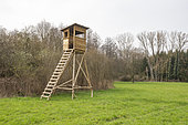 Natural sensitive area of ​​Grossmatt, renatured area protected by the Departmental Council of Bas Rhin, Hunting mirador, Observation mirador, Bas Rhin, Grand Est region, France