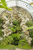 Calcite rockery, greenhouse, Park of Ravalet Castle, Cherbourg-en-Cotentin, Normandy, France
