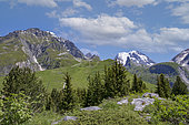 From the arrival of the Champagny aerial lift, exceptional panorama of the Vanoise glaciers, the Grand Bec, the Grande Casse and the peaks over 3000 meters, Champagny en Vanoise in The valley, Champagny-en-Vanoise, Savoie, Auvergne-Rhône-Alpes Region, France