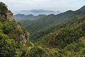 Tropical forest, Langkawi island, Malaysia.