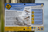 Sign to raise awareness of the presence of aCommon Ringed Plover nest in spring, placed by the Groupement Ornithologique et Naturaliste du Nord pas de Calais, Sangatte, France.