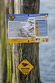 Pancarte de sensibilisation à la présence d'une nichée de Grand Gravelot au printemps, installée par le Groupement Ornithologique et Naturaliste du Nord pas de Calais, Sangatte, France.