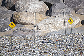 Protective enclosure of a nest of Common ringed plover in spring, installed by the Groupement Ornithologique et Naturaliste du Nord pas de Calais, Sangatte, France