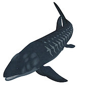 Leedsichthys is a giant member of an extinct group of Mesozoic Era bony fish that lived during the Jurassic Period.