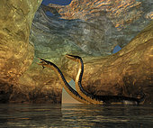A Plesiosaurus captures a Eurhinosaurus marine reptile in a sea cave off the coast of Jurassic seas.