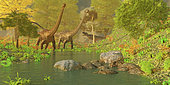 Two Diplodocus dinosaurs bellow in alarm as a theropod Ceratosaurus tries to sneak up behind them.