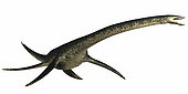 Styxosaurus was a plesiosaur marine reptile that lived during the Cretaceous Period of Kansas in North America.
