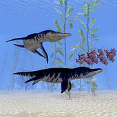 Two Liopleurodon marine reptiles chase after a school of red snapper fish in Jurassic seas.