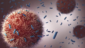 Immune cells attacking tuberculosis bacteria.