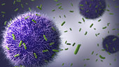 Immune cells attacking tuberculosis bacteria.