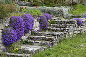 Flowered staircase, Glay, Doubs, France