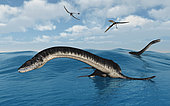 Plesiosaurs in their marine habitat.
