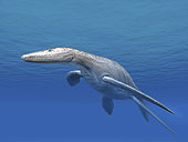 Simolestes vorax is an extinct pliosaur from the Middle Jurassic of England.