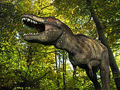 A seven ton Tyrannosaurus wanders a Cretaceous forest 68 million years ago in what is today the Western United States.
