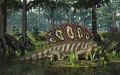 A ten-foot-long, 600 pound synapsid of the genus Edaphosaurus forages in a brackish mangrove-like swamp of gymnosperms of the genus Cordaites 300 million years ago in what is today Western Europe.  . Like its better-known synapsid cousin Dimetrodon, Edaphosaurus had a large sail on its back supported by elongated neural spines, however unlike Dimetrodon, these spines include numerous short cross bars; while the sail may have served the purpose of both helping to regulate body temperature and as sexual display, the purpose of the cross bars is unknown. Jaw and teeth structure suggests that Edaphosaurus probably dined on both plants and small invertebrates, such as mollusks.  . Tree-like Cordaites, now extinct, grew on wet ground similar to the Everglades in Florida, numerous fossils of which are now found associated with coal deposits. Also in this image are several examples of extinct seed fern of the genus Neuropteris as well as smaller examples of generic fern that may have been present during the period.  . Other fauna include two examples of the large dragonfly-like Meganeura, a centipede, and in the foreground a juvenile prehistoric shark of the genus Xenacanthus, its distinctive spine projecting from the back of its head and out of the water.