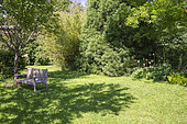 Jardin Cali Canthus, ornamental garden, decorative, visited by the public, bench, tranquility in the middle of the garden, Saint Maurice (67220), Alsace, Bas Rhin (67), Grand Est Region, France