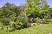 Jardin Cali Canthus, ornamental garden, decorative, visited by the public, plant composition, Saint Maurice (67220), Bas Rhin (67), Alsace, Grand Est Region, France