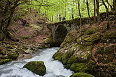 Rouffy and Valserine Bridge at spring, Lélex, Ain, France