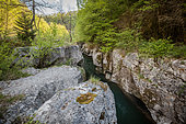 Pertes de la Valserine, Lancrans and Bellegarde-sur-Valserine, Ain, France