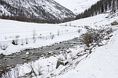 Savara River, Gran Paradiso National Park, Aosta Valley, Italy.