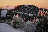 From the stubble of Wissgrut (1124m), winter evening, snow, view of the summit of the Ballon d Alsace, Sewen, Haut-Rhin, France