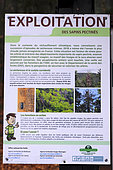 Signs, Exploitation of silver fir trees by the ONF, global warming, Bernstein national forest, place called Schuhlwaldplatz, Dambach-la-Ville, Bas-Rhin, France