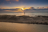 Walde lighthouse and grey seal (Halichoerus grypus) colony, les Hemmes de Marck, Opal Coast, Pas de Calais, France