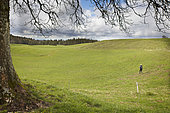 A walker in a typical pastoral and forest environment of the Haut-Jura, Belleydoux, Jura, France.