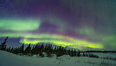 March 18, 2020 - The pastel colours of the aurora borealis over the boreal forest, from the Churchill Northern Studies Centre, Manitoba, Canada. Arcturus is at right.
