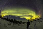 March 19, 2020 - Stargazer under the aurora borealis in Churchill, Manitoba, Canada. This was at the Churchill Northern Studies Centre looking north to the boreal forest. 
