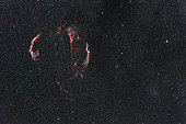 The supernova remnant in Cygnus variously called the Veil Nebula, the Network Nebula, the Lacework Nebula, or the Cygnus Loop. Nearby is the bright and large star cluster NGC 6940 over the border in Vulpecula. This shows both the eastern and western halves of the Veil as well as the little bits in between such as prominent Pickering’s Triangle component. 
