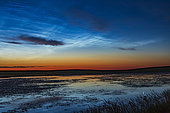 July 7, 2020 - Bright noctilucent clouds in the dawn sky over a prairie pond in southern Alberta, Canada, with Venus bright as a morning star at right above Aldebaran. Comet NEOWISE was in the scene but hidden behind dark weather clouds here.
