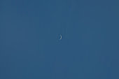 Venus as a razor-thin crescent and only 8 degrees east of the Sun on May 29, 2020, five days before its June 3 inferior conjunction. The crescent is extending a little beyond 180 degrees here due to scattering in the Venusian clouds. The disk was 57 arc seconds across and 0.9% illuminated. The magnitude was -3.9. 
