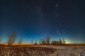 December 2, 2019 - Orion and the winter stars and constellations rising in the light of a first quarter moon in Alberta, Canada. Orion is above the trees with Aldebaran in Taurus and the Pleiades above him. At top left is the star Capella and the constellation of Auriga. At left of centre are Castor and Pollux in Gemini. Just rising amid the trees is Procyon in Canis Minor. Sirius and Canis Major had not yet risen. The timing nicely captures 4 of the sky’s best star clusters in a row across the sky, with the Beehive just rising at lower left, the Hyades at upper right, and the Pleiades at top. Between the Hyades and the Beehive is the small binocular cluster in Gemini, M35, but visible in this wide-angle view. . . The low setting moon behind the camera to the right added a warm bronze hour tint to the landscape. Tracks in the snow are from deer. 
