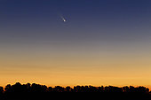 Comet Panstarrs at twilight, visible with the naked eye, Buenos Aires, Argentina.