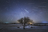December 13, 2017 - The annual Geminid meteor shower is raining down on planet Earth above the winter landscape of Heilongjiang province of China. 48 meteors are recorded in this composite image which stream away from the shower's radiant in constellation Gemini.