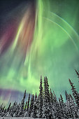 Northern lights, Yukon, Canada.