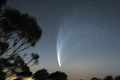 January 24, 2007 - Comet McNaught P1 viewed from Mount Macedon, Victoria, Australia.