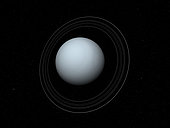 Artist's concept showing how Uranus might look from a position in space several hundred thousand miles above its south pole. . Uranus is a gas giant composed primarily of hydrogen and helium gases surrounding a relatively small, dense core of molten rock and metal. Its bluish color is due to the presence of methane in its upper atmosphere. . Uranus also has a ring system. However, Uranus' rings are over three orders of magnitude dimmer than Saturn's; where Saturn's rings are nearly white, Uranus' rings are more like the color of charcoal. . . One bizarre aspect of Uranus is that its axis of rotation is tipped beyond 90 degrees in relation to the plane of its orbit around the Sun. This puts Uranus' north and south poles, relative to the Sun, where the other planets have their equators.